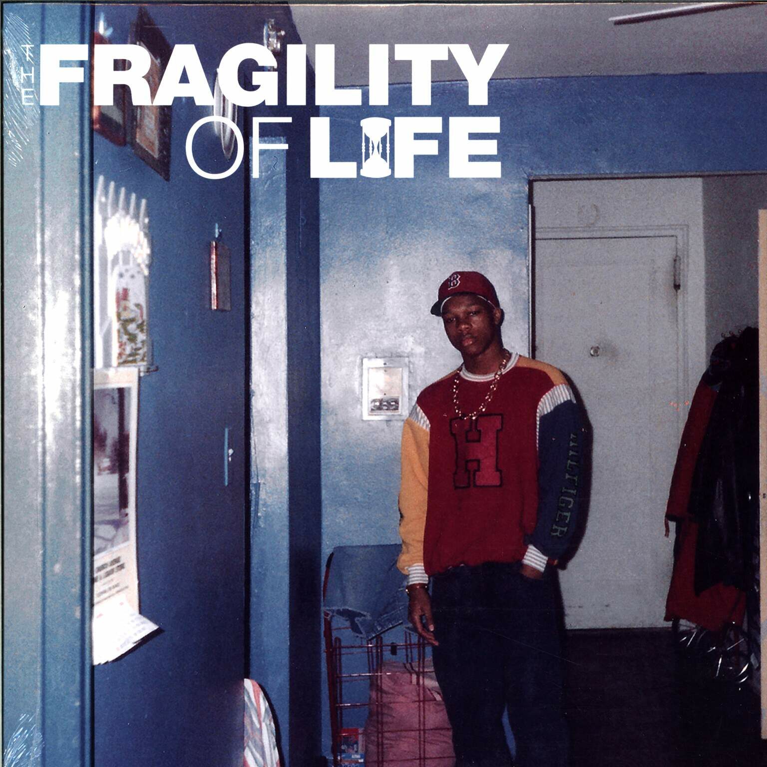Wordsworth: Fragility Of Life, 1×LP (Vinyl)