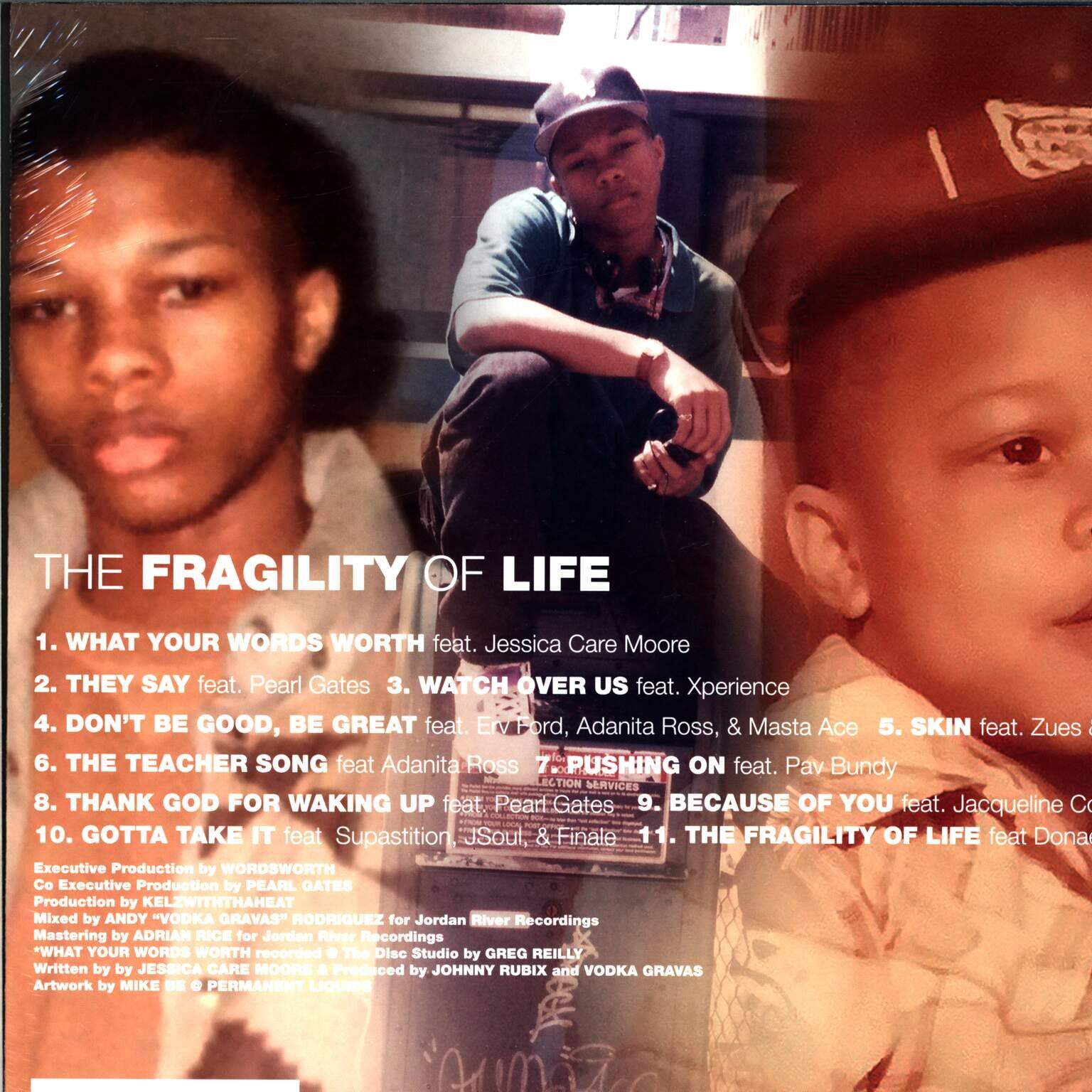 Wordsworth: Fragility Of Life, 1×LP (Vinyl)