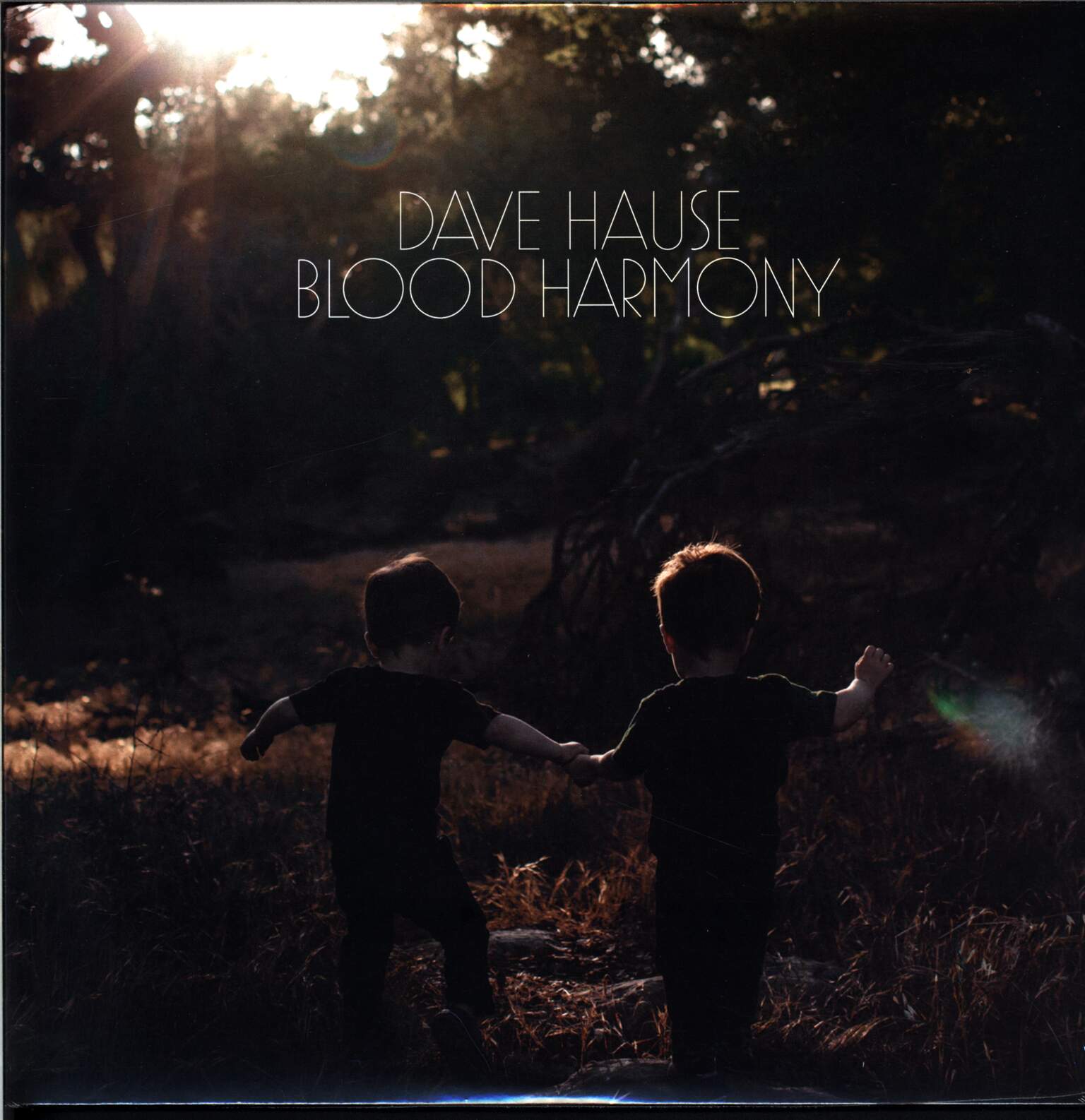 Dave Hause: Blood Harmony, 1×LP (Vinyl)
