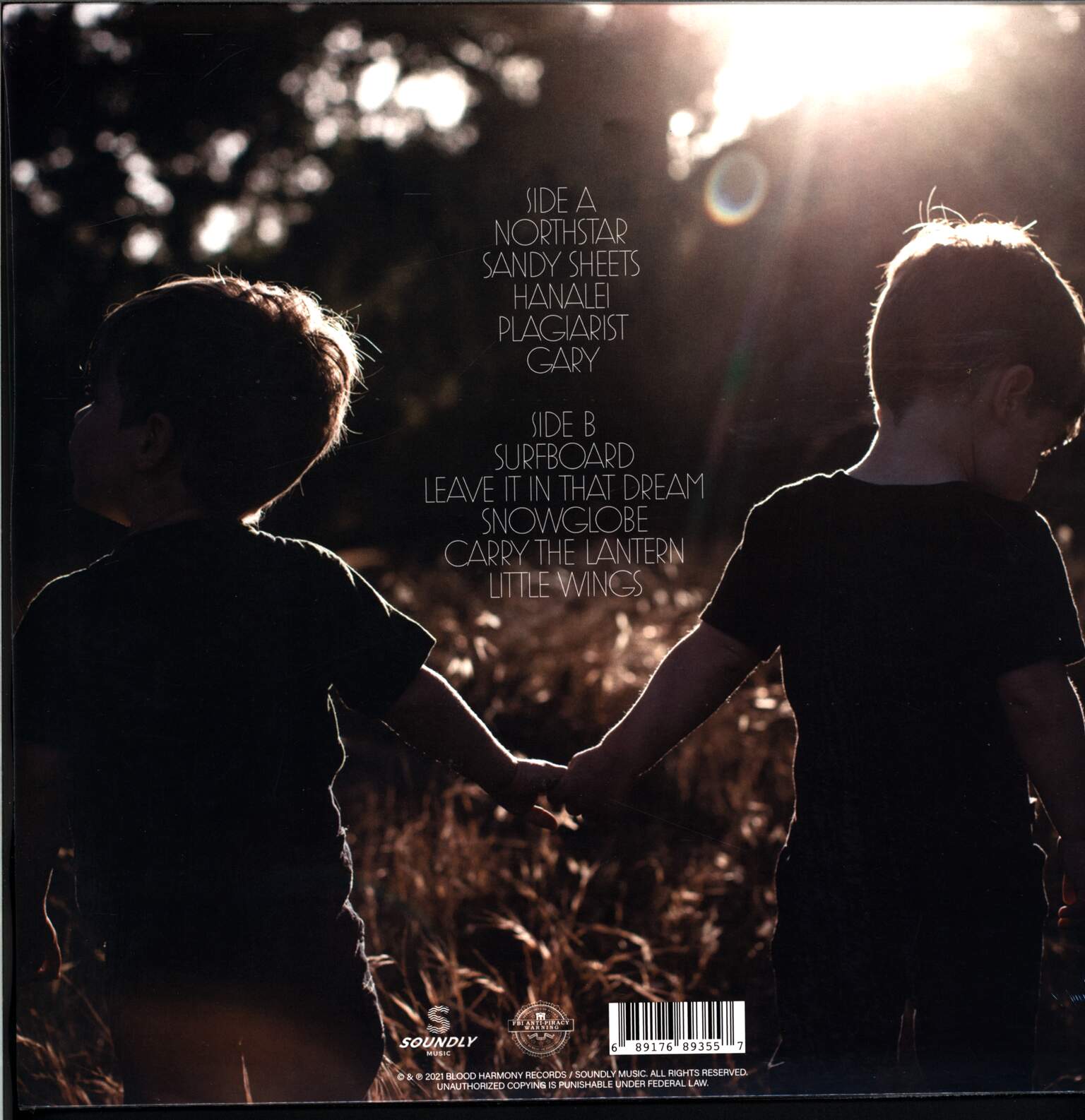 Dave Hause: Blood Harmony, 1×LP (Vinyl)