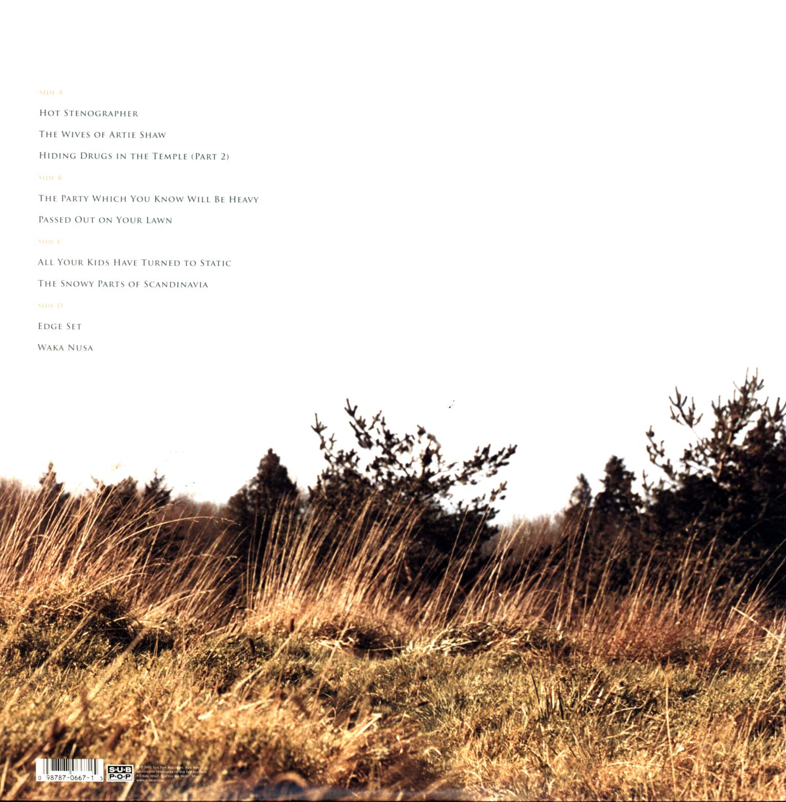 Kinski: Alpine Static, 2×LP (Vinyl)
