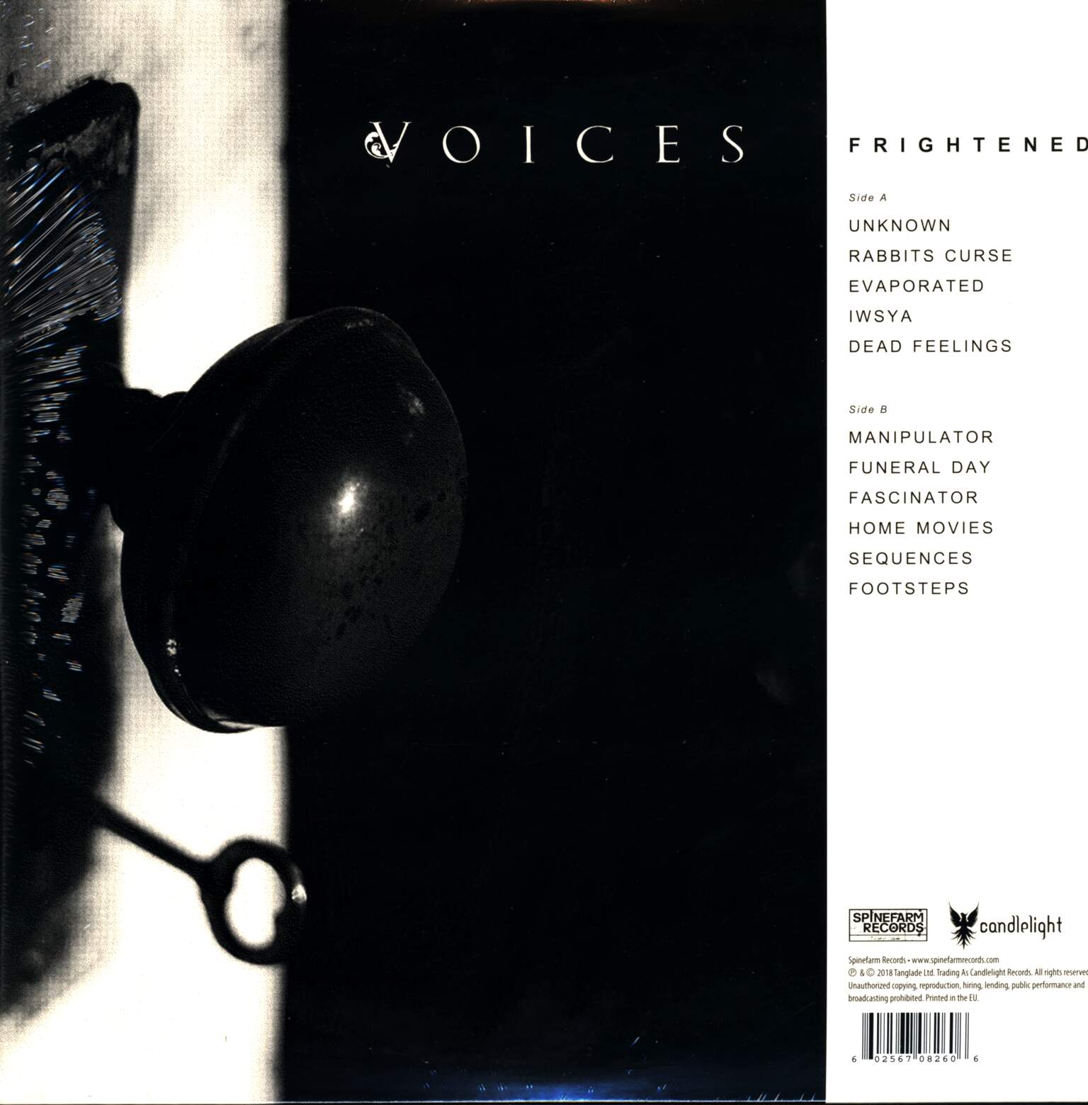 Voices: Frightened, 1×LP (Vinyl)