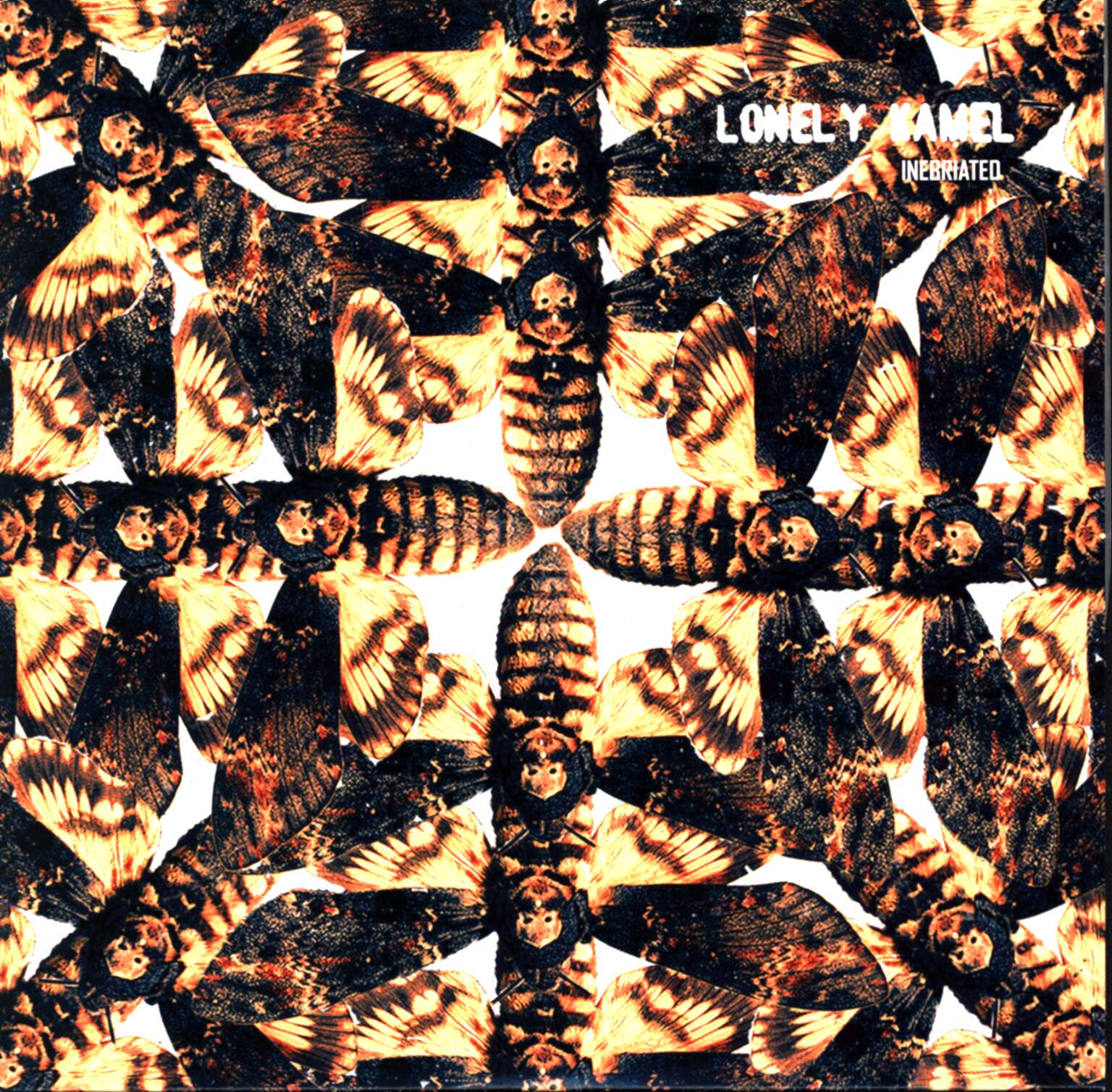 Lonely Kamel: Inebriated, 1×7" Single (Vinyl)