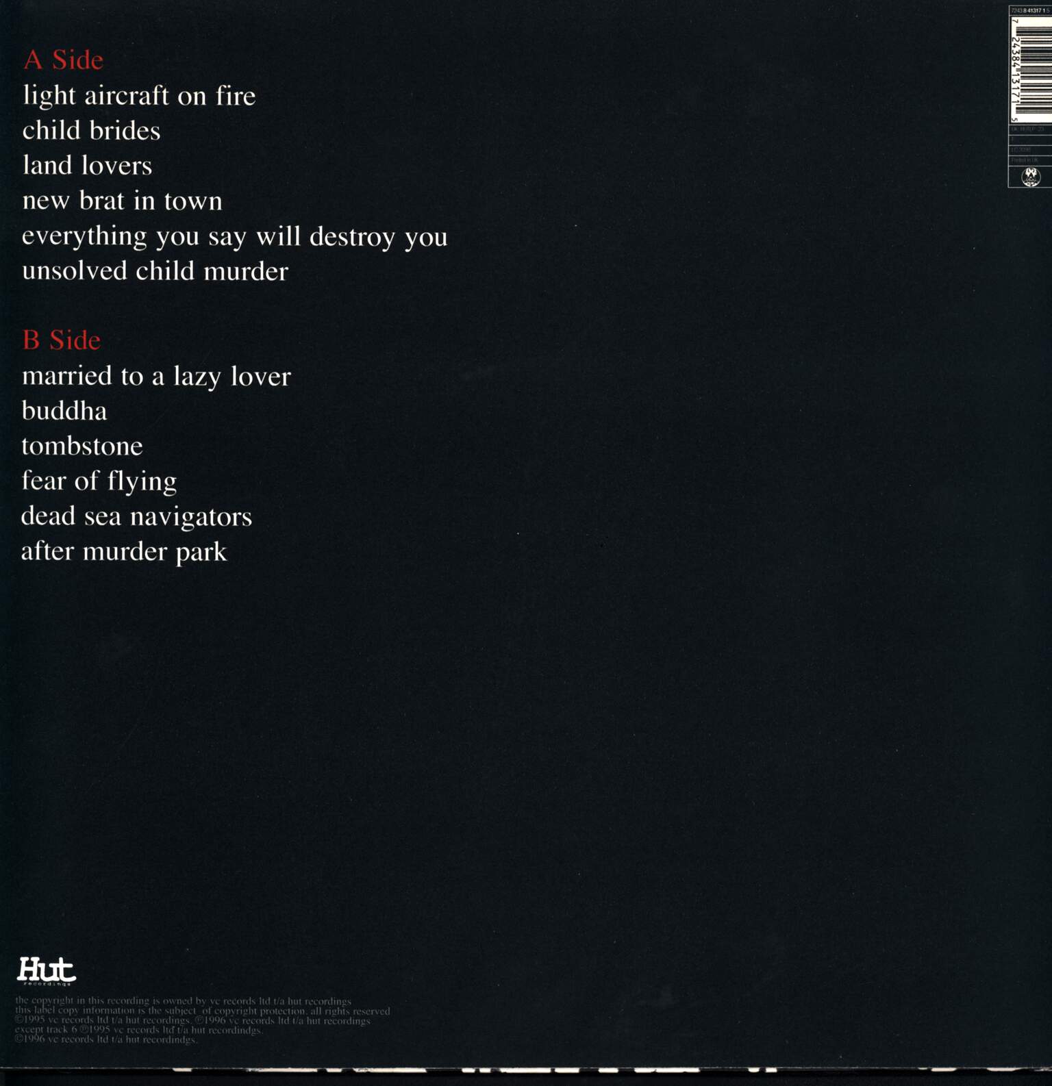 The Auteurs: After Murder Park, 1×LP (Vinyl)