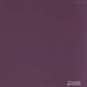 Flower Leperds / Tony Adolescent: Purple Reign