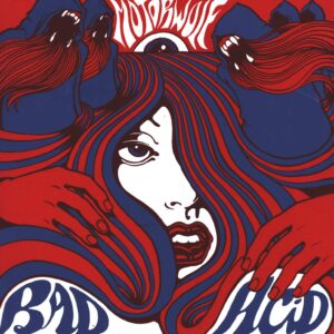Various: Bad Acid