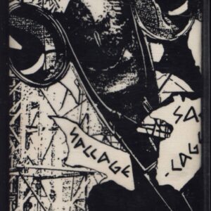 Harald Sack Ziegler: Saccage