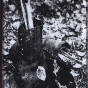 The Exorial: Bullet Proof
