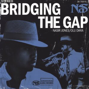 Nas: Bridging The Gap