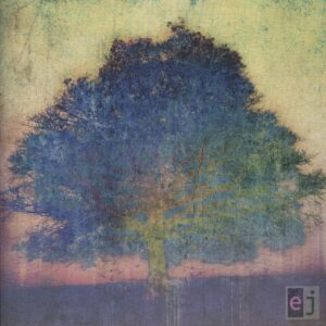 Eric Johnson (2): EJ