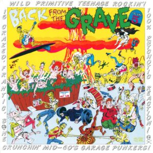 Various: Back From The Grave Volume 5