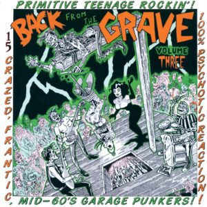 Various: Back From The Grave Volume 3