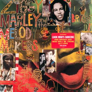 Ziggy Marley And The Melody Makers: One Bright Day