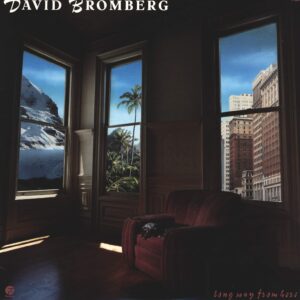 David Bromberg: Long Way From Here