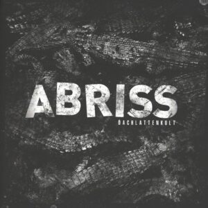 Abriss (2): Dachlattenkult