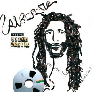 Alborosie / The Roots Radics: Dub For The Radicals