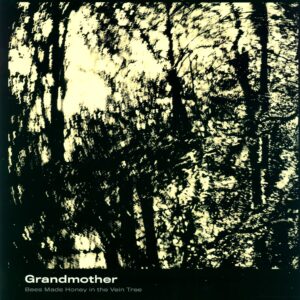 Bees Made Honey In The Vein Tree: Grandmother