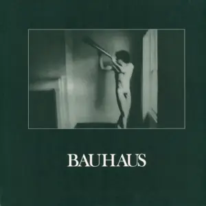 Bauhaus: In The Flat Field