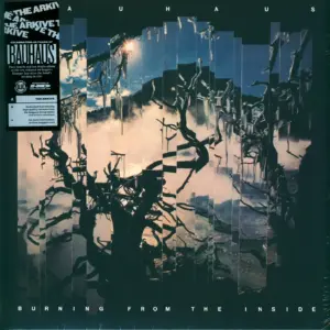 Bauhaus: Burning From The Inside