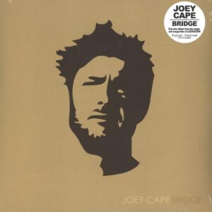 Joey Cape: Bridge