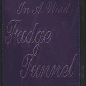 Fudge Tunnel: In A Word