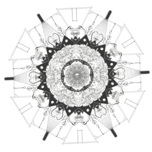 From Willows: Holoparasitic