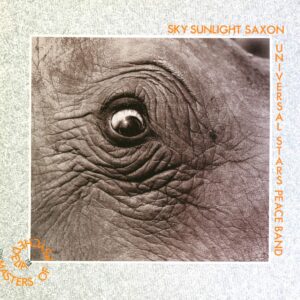 Sky Saxon: Masters Of Psychedelia