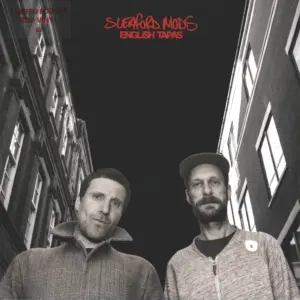 Sleaford Mods: English Tapas