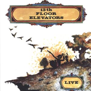 13th Floor Elevators: Live