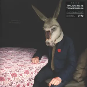 Tindersticks: The Waiting Room