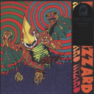 King Gizzard And The Lizard Wizard: Willoughby's Beach