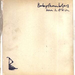 Babyshambles: Down In Albion