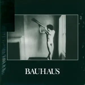 Bauhaus: In The Flat Field