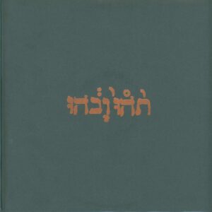 Godspeed You Black Emperor: Slow Riot For New Zero Kanada E.P.