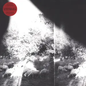 Godspeed You Black Emperor: Asunder, Sweet And Other Distress