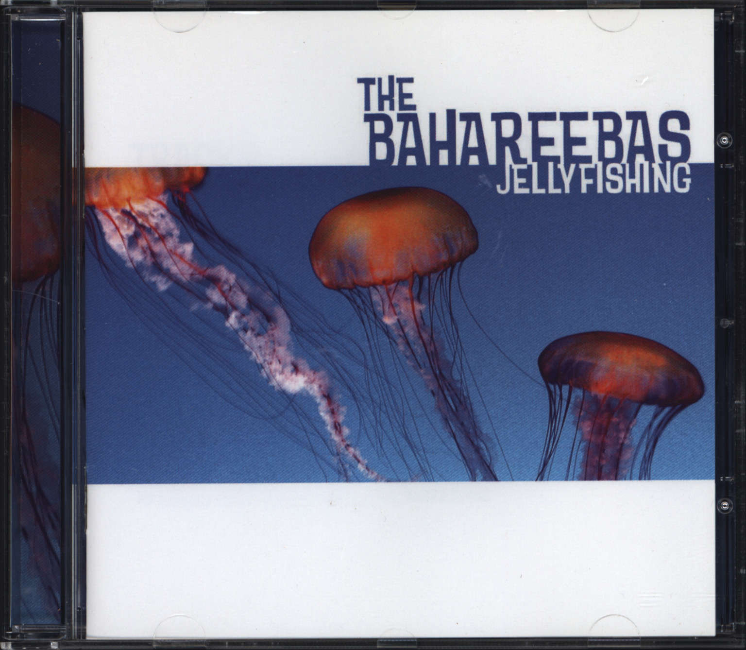 Bahareebas: Jellyfishing