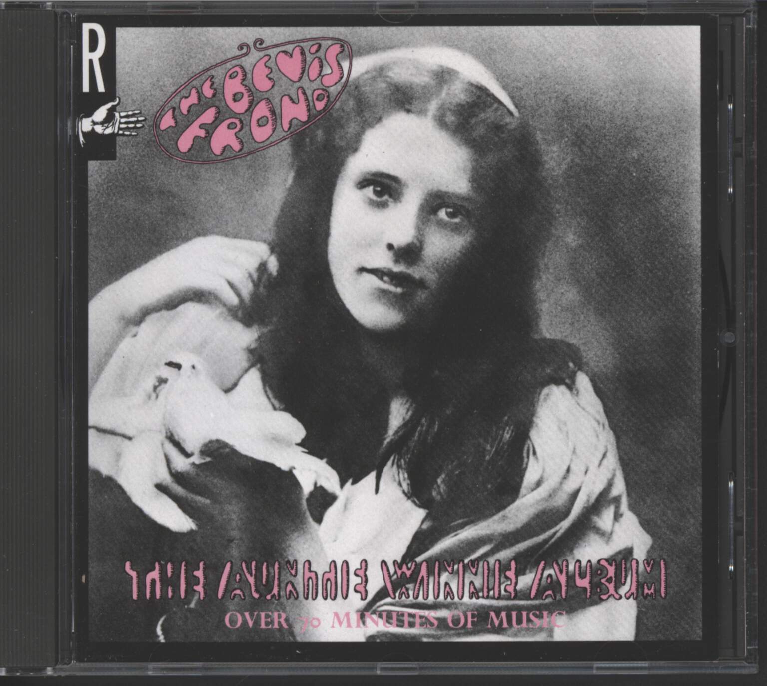 Bevis Frond: The Auntie Winnie Album