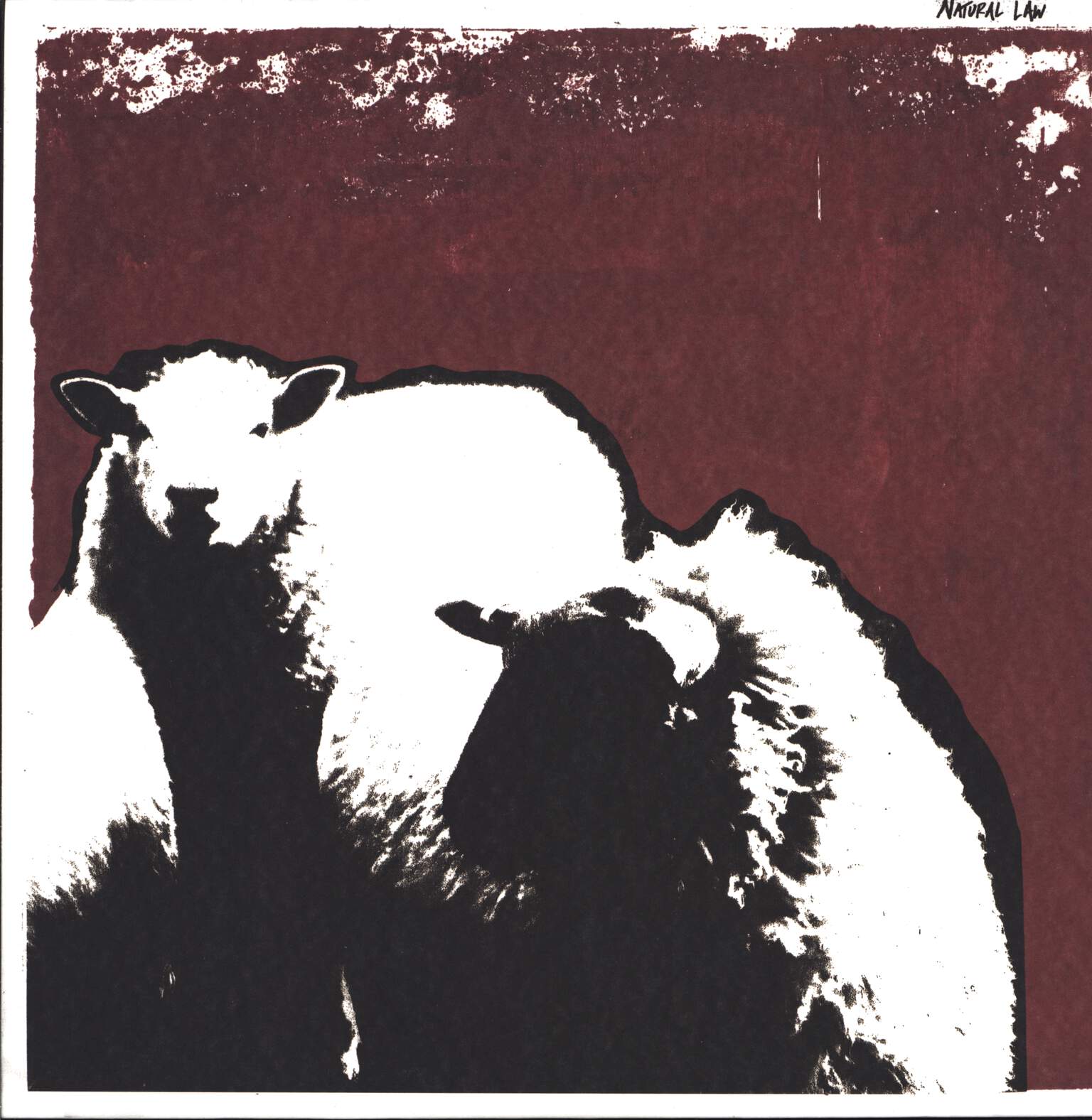Natural Law: Find The Flock