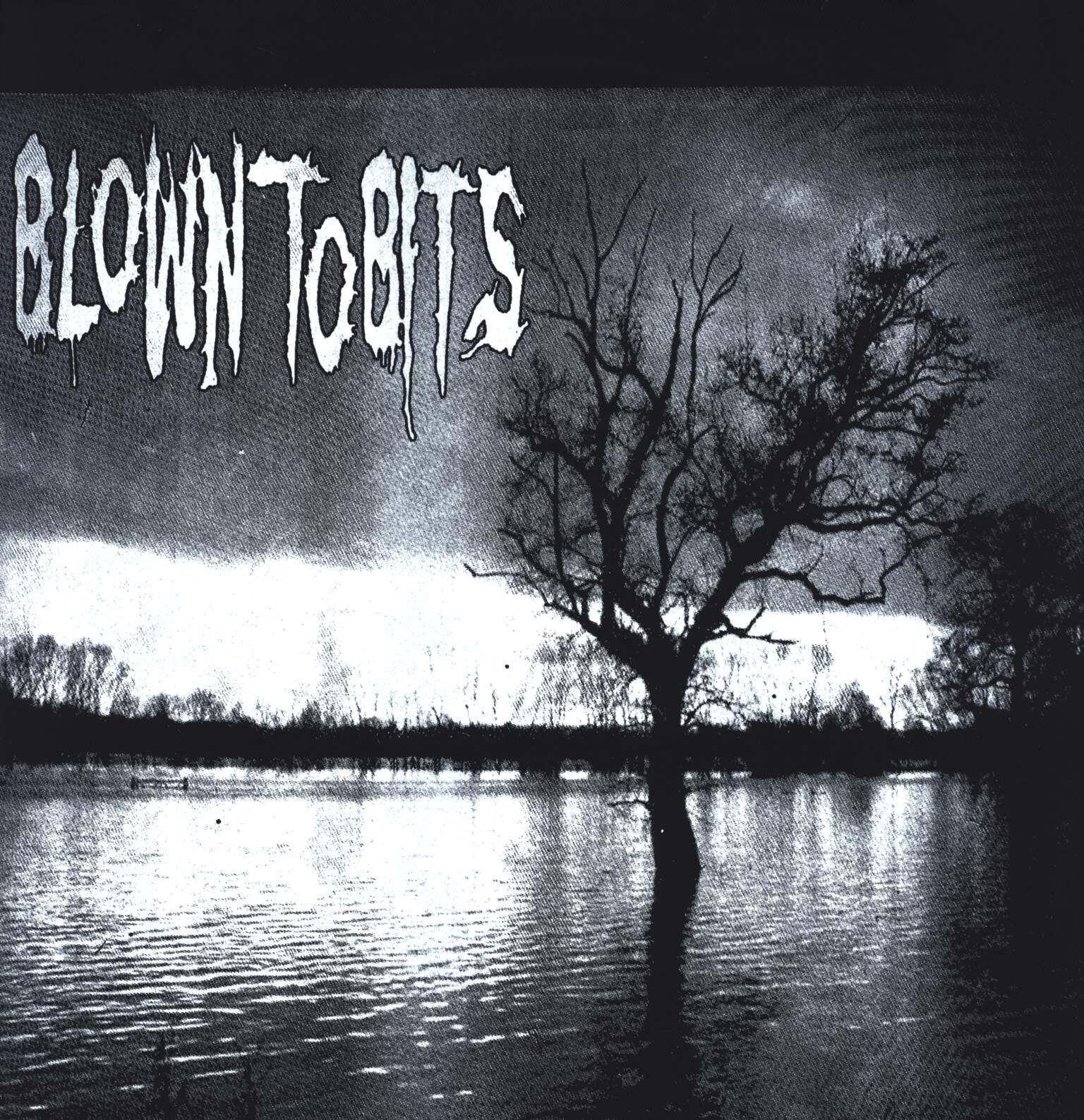 Blown To Bits: Blown To Bits Benefit Record