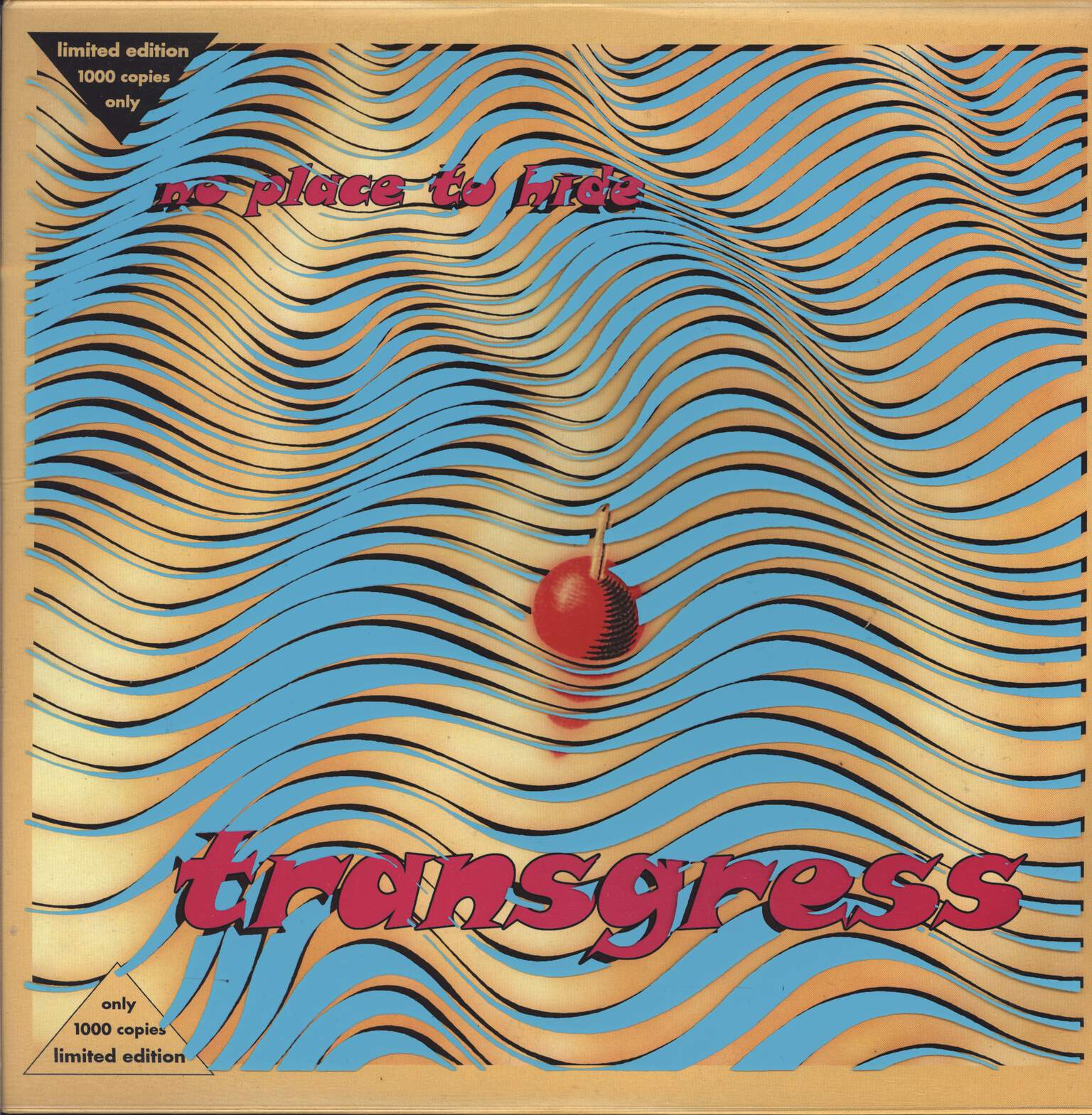 Transgress: No Place To Hide
