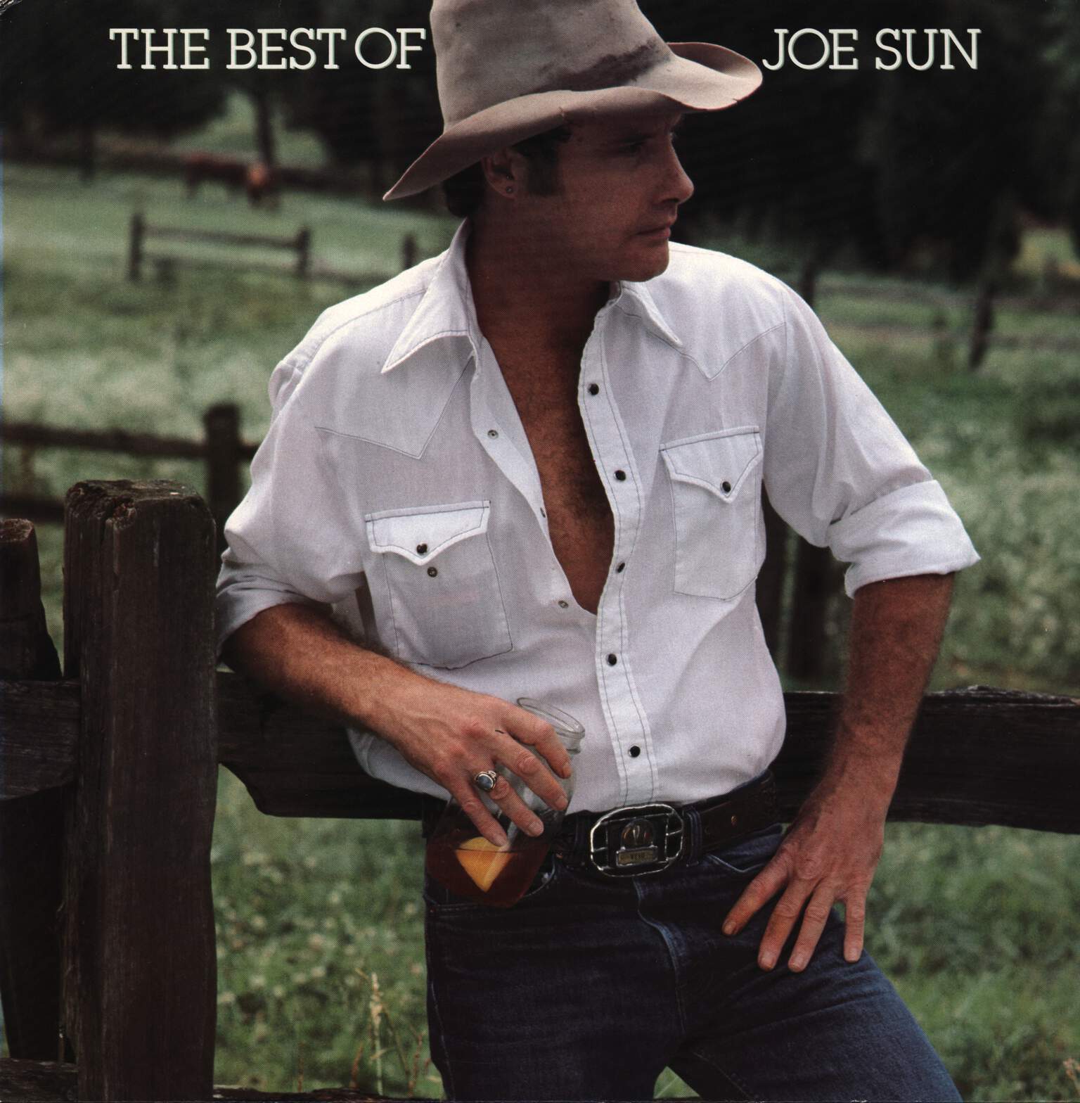Joe Sun: The Best Of Joe Sun