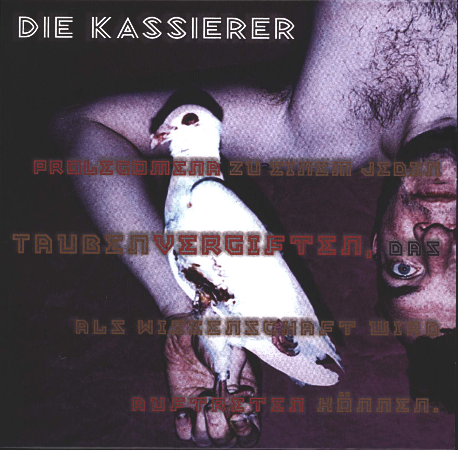 Die Kassierer: Taubenvergiften