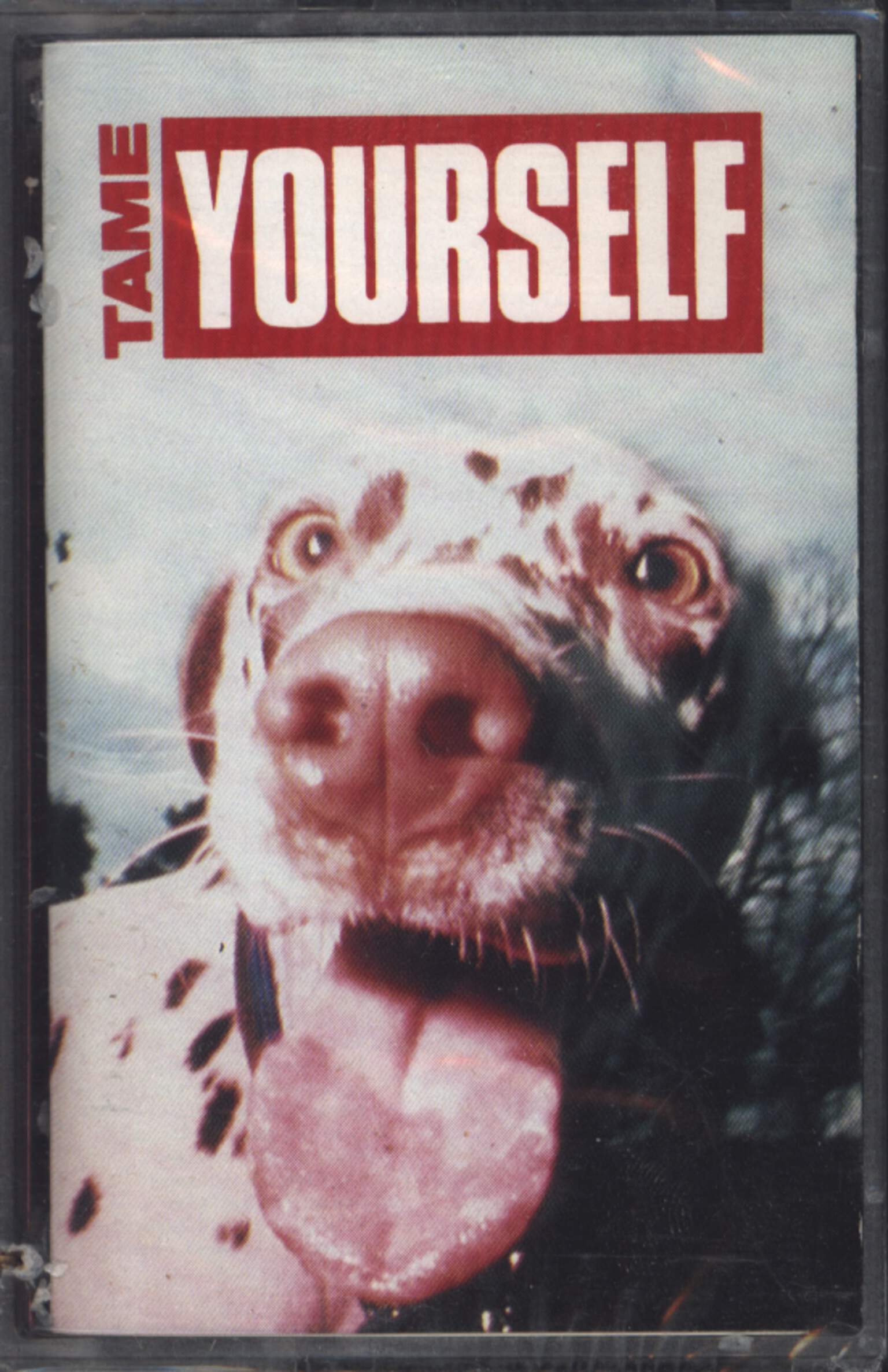 Various: Tame Yourself