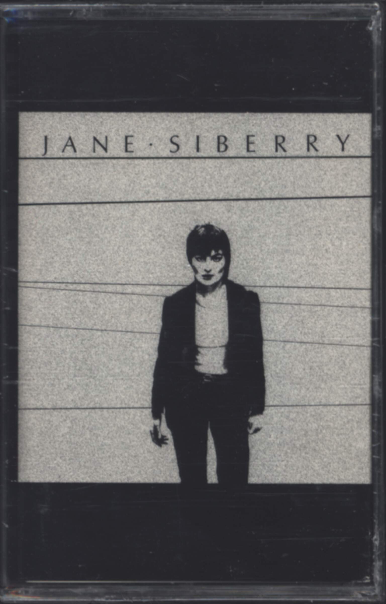 Jane Siberry: Jane Siberry