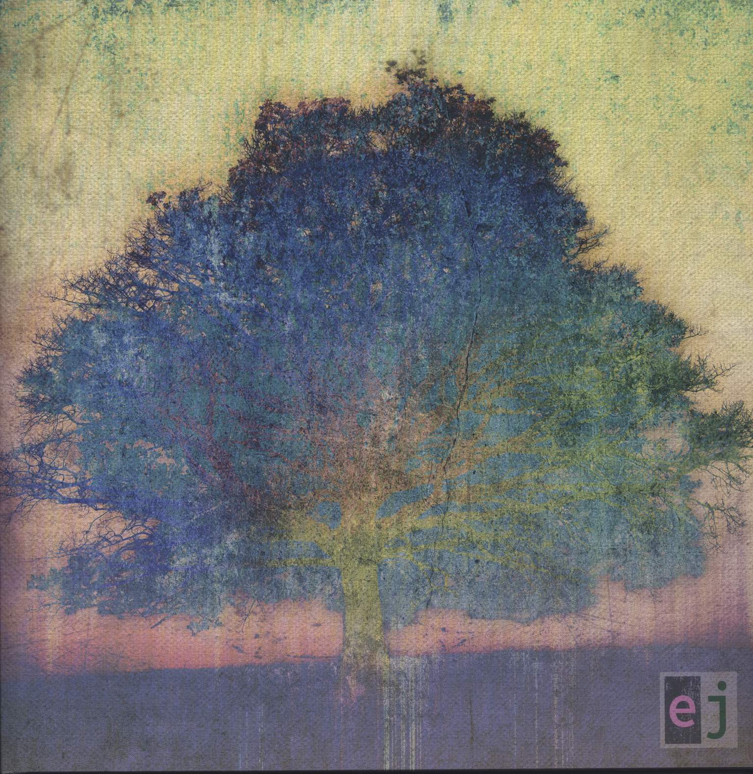 Eric Johnson: EJ