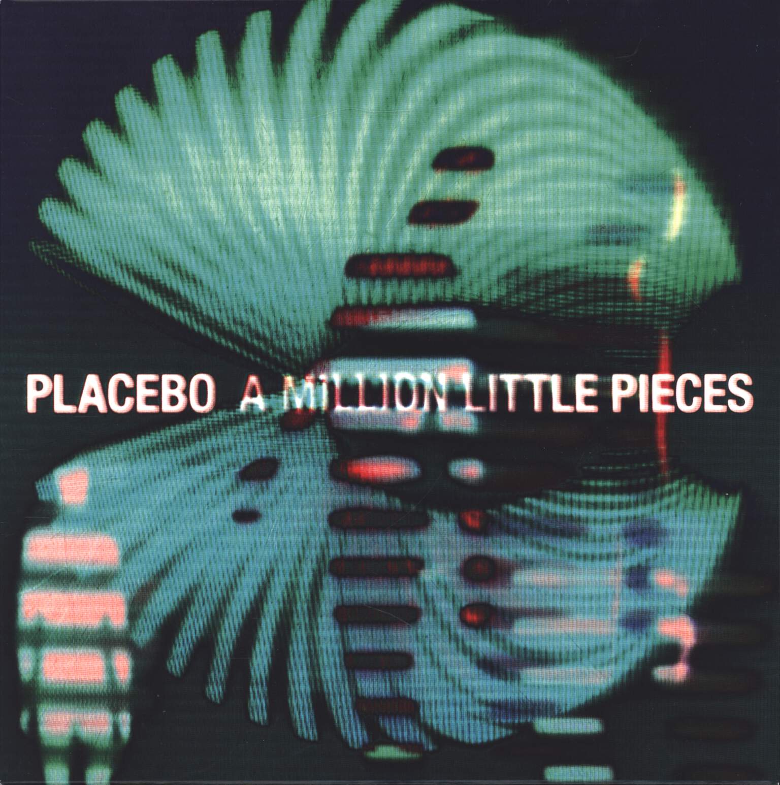 Placebo: A Million Little Pieces