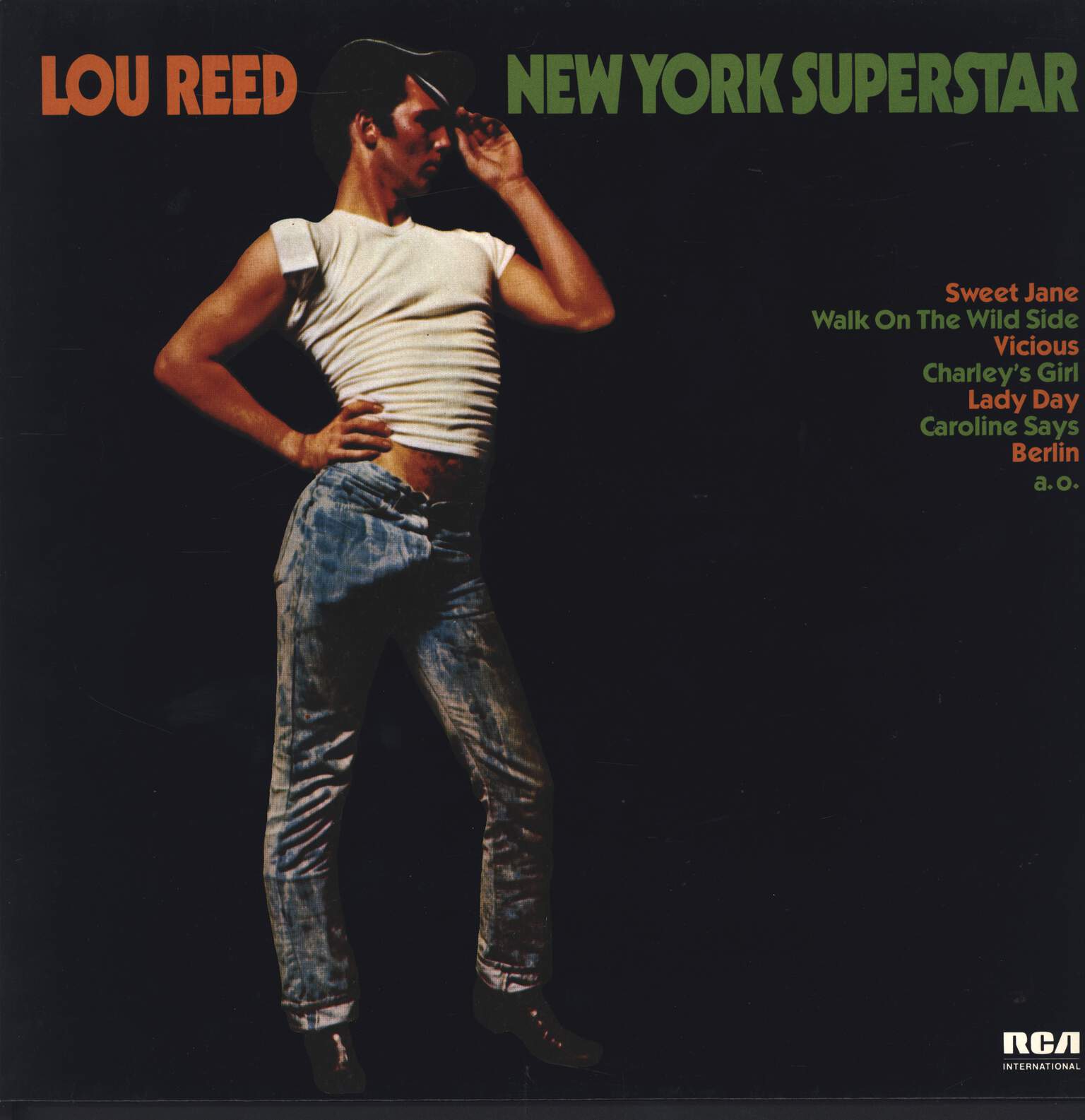Lou Reed: New York Superstar