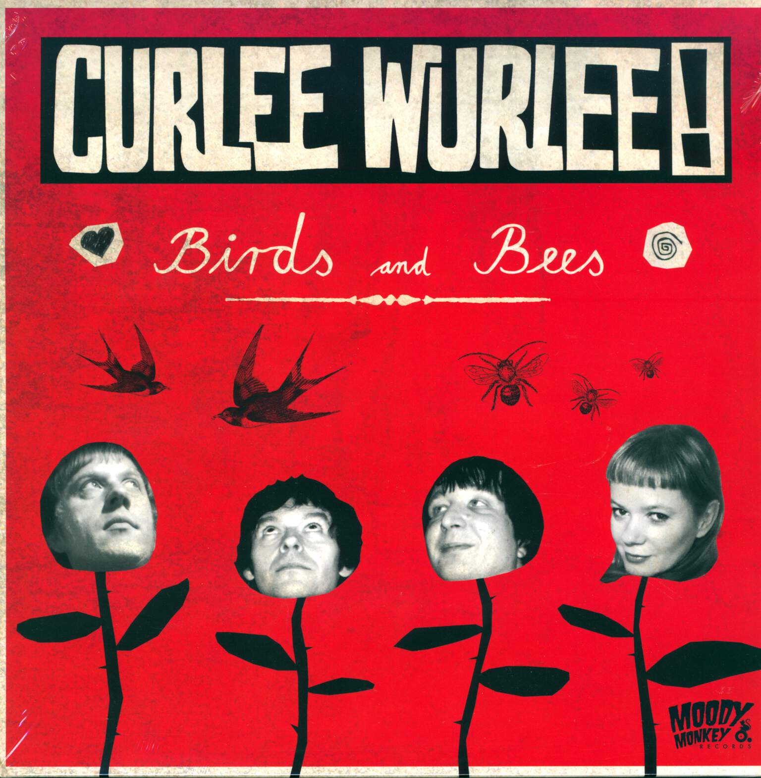 Curlee Wurlee: Birds and Bees