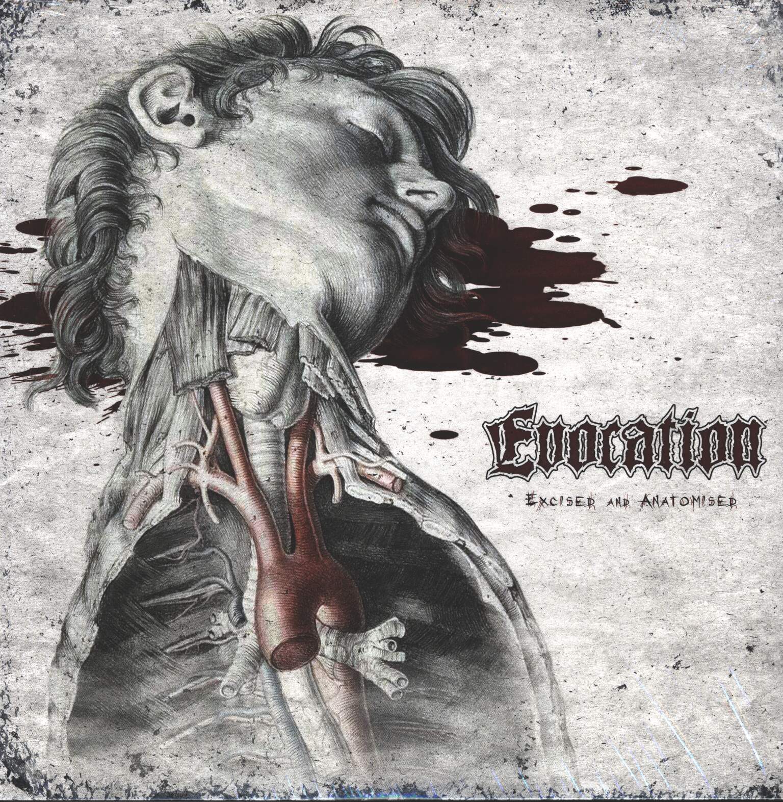 Evocation: Excised And Anatomised