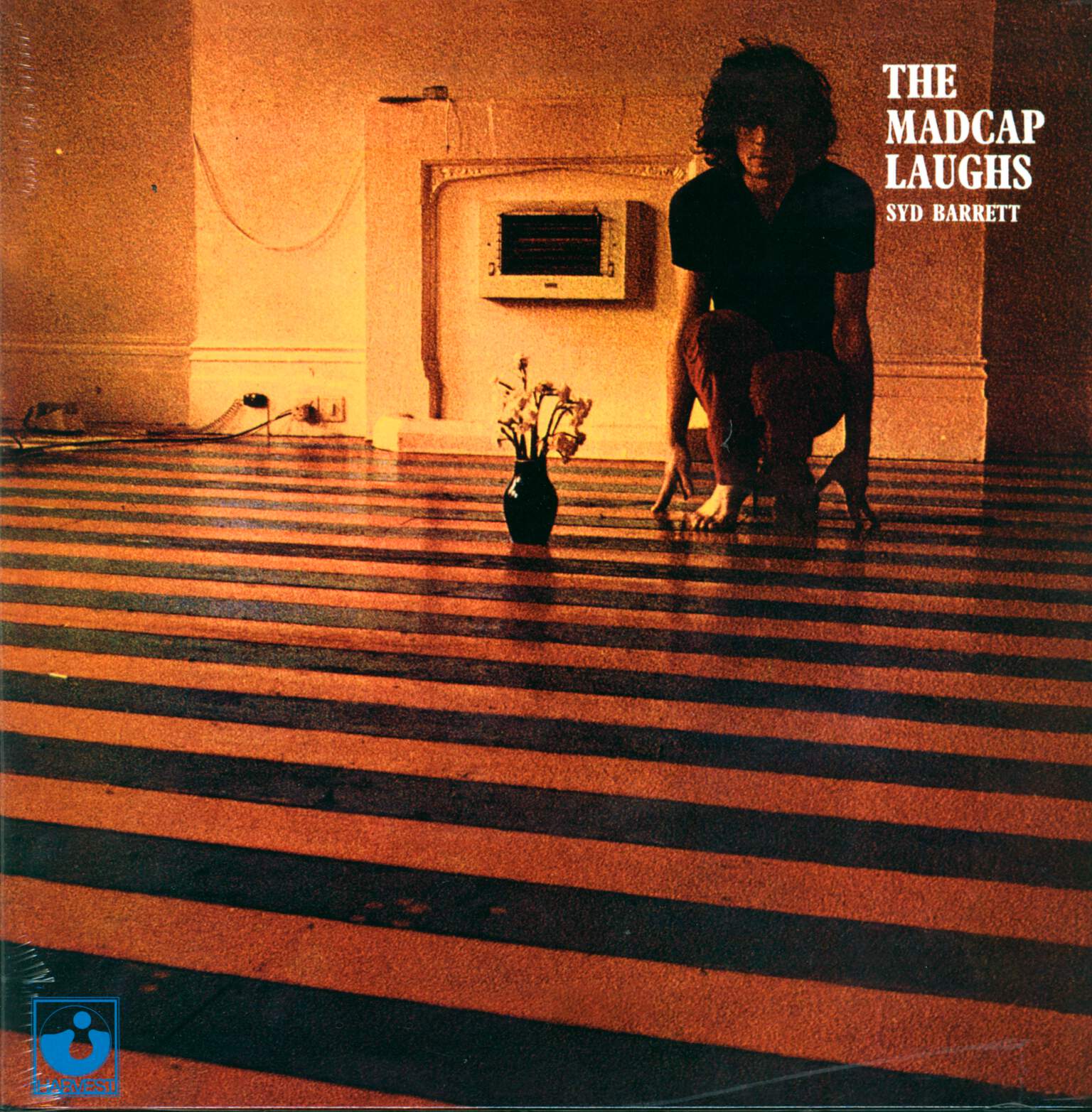 Syd Barrett: The Madcap Laughs
